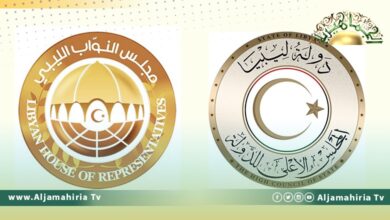 عضوة بالدولة الإخواني: لجنة إعداد القاعدة الدستورية تلتقي نظيرتها من النواب الثلاثاء المقبل بالقاهرة بحضور وليامز