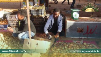 رئيس الرقابة على الأغذية والأدوية بـ سبها: لدينا مضاربون في أسعار الخضروات والمتحكم فيها أجنبي