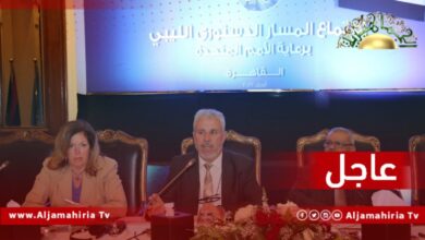 عاجل| وليامز تؤكد عزمها عقد اجتماع متابعة منتصف مايو في القاهرة بين لجنتي مجلسي النواب والدولة