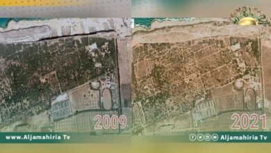 انخفاض الغطاء النباتي