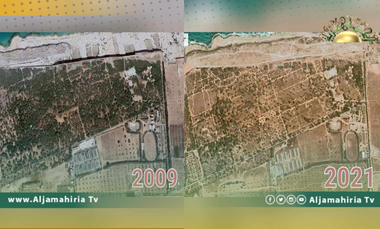 انخفاض الغطاء النباتي