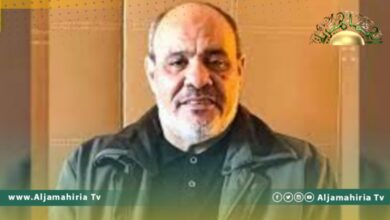 بلقاسم دبرز: التعديل الدستوري الـ12 أصبح لدينا في مجلس الدولة من الماضي