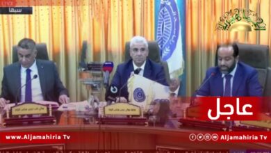 عاجل// الناطق باسم الحكومة الليبية: دخول طرابلس ليس هدفًا عاجلًا في الوقت الراهن ونتفادى الصدام