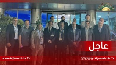 طائرة ستعود