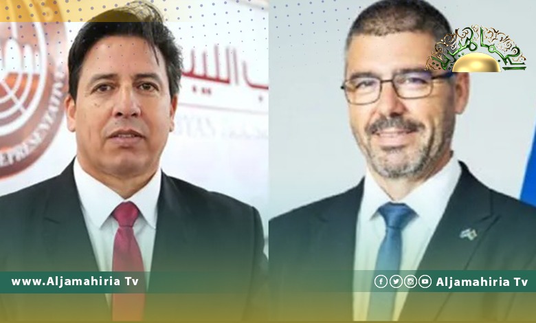 ساباديل: ندعم وليامز وجهودها للجمع بين الأعلى للدولة الإخواني و"النواب" للاتفاق على قاعدة دستورية للانتخابات