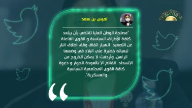 لميس بن سعد تحذر: انهيار اتفاق وقف إطلاق النار ستكون تبعاته خطيرة على الوطن