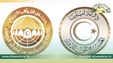 مقترح لمجلسي النواب والدولة الإخواني بشأن المسار الدستوري