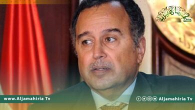 دبلوماسي مصري يستبعد حدوث انفراجه قريبة في الأزمة الليبية