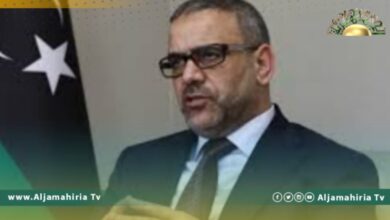 المشري: أي سعي للوصول إلى السلطة خارج إطار الشرعية سيبوء بالخسران