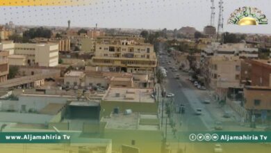 منظمة إيطالية