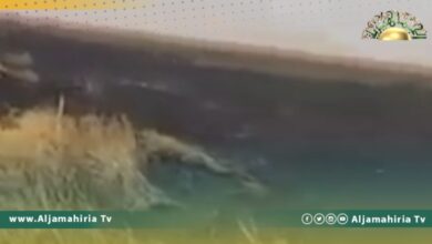 اشتباكات الكرامة ومجموعات مسلحة تتسبب في حرق مزرعة قمح بغدوة