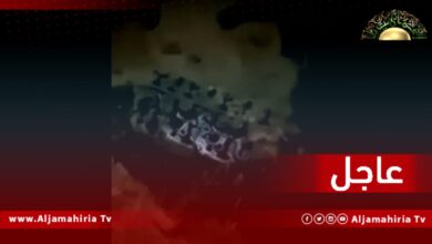 عاجل| البعثة الأممية: لم ترد أنباء عن وقوع إصابات بشرية حسبما ورد في التصريحات الصادرة عن مسؤولين عسكريين