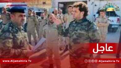 مليشيا الفأر