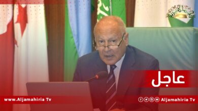 أحمد أبو الغيط