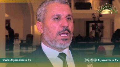 الفقيه: حسم التوافق التام بين وفدي النواب والدولة يونيو المقبل وتحديد موعد الانتخابات قريبًا