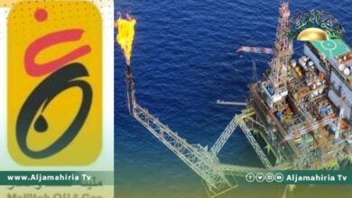 أفريكا انتليجنس