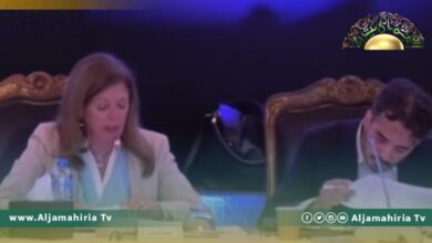 وليامز تشيد بالتوافق على عدد كبير من مواد مسودة الدستور