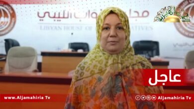 عاجل// أسماء الخوجة: أبرز النقاط الخلافية بمسودة الدستور تتعلق بشكل الدولة ونظام الحكم وكذلك الحكم المحلي