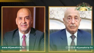 الصغير يطلع عقيلة صالح على نتائج أعمال الجولة الثانية للجنة المسار الدستوري بالقاهرة