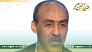 فنوش يكشف: الرئاسي يتواصل مع عدة أطراف لتوسيع صلاحياته وتشكيل حكومة مصغرة من 8-12 وزيرًا