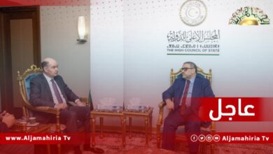 عاجل// لقاء المشري والسفير السويسري ناقش تطورات المسار الدستوري والعمل على إنجاح العملية السياسية للوصول إلى الاستحقاقات الانتخابية التي يتطلع إليها كل الشعب الليبي