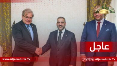 عاجل// المشري ونورلاند يتطرقان خلال لقائهما في القاهرة إلى أزمة إغلاق النفط ويشددان على ضرورة فتح الحقول والموانئ النفطية