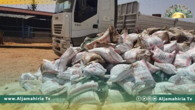 إحباط بيع شحنة أرز فاسدة مرفوضة ومقرر إعدامها منذ 7 سنوات