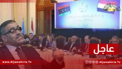 رئيس مجلس الدولة الإخواني خالد المشري يصل القاهرة قبيل الجولة الثانية من مشاورات المسار الدستوري المُقررة في 15 مايو الجاري.