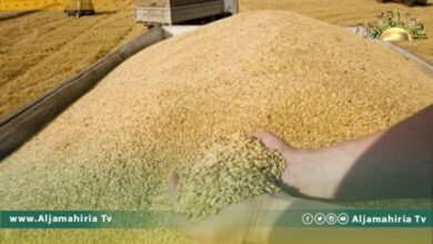 خبراء أمميون يحذرون من خطورة اعتماد ليبيا على الغذاء الروسي والأوكراني