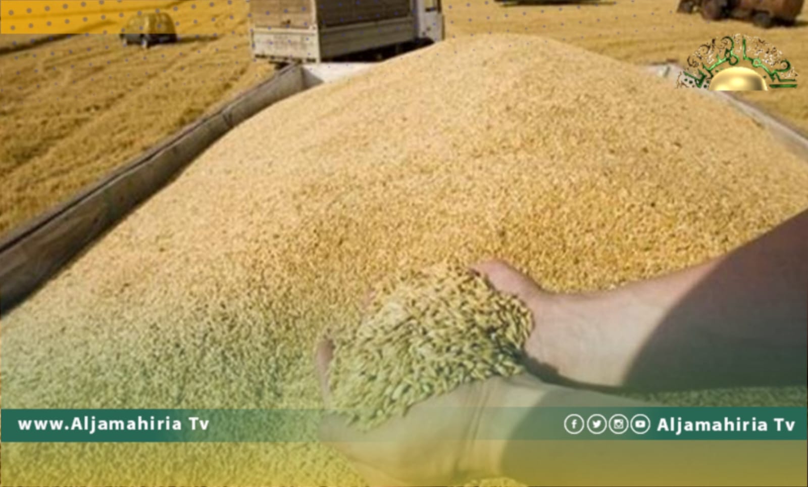 خبراء أمميون يحذرون من خطورة اعتماد ليبيا على الغذاء الروسي والأوكراني