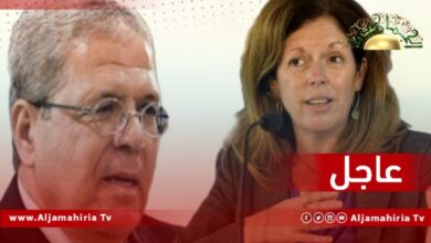 وليامز: ناقشنا الجولة المقبلة من مباحثات مجلسي النواب والدولة والتي تنطلق في القاهرة، يوم 15 مايو