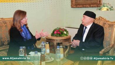 وليامز تلتقي عقيلة بالقاهرة... وهذه تفاصيل اللقاء