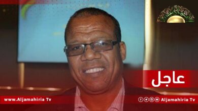 احويلي: انطلاق جولة ثالثة للجنتي المسار الدستوري من مجلسي النواب والدولة مطلع يونيو المقبل