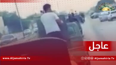 قوة دعم الدستور والانتخابات