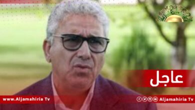 عاجل// فتحي باشاغا: راعينا مبدأ الترشيد في الإنفاق بمقترح الميزانية الذي قدمناه لمجلس النواب