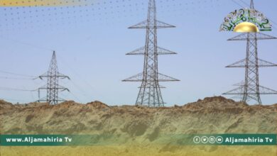 مدير "سونلغاز" الجزائرية: الربط الكهربائي المباشر مع ليبيا ينتظر التمويل