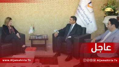 عاجل| وليامز: التقيت برئيس مفوضية الانتخابات وأطلعته على زياراتي إلى عواصم مختلفة وناقشنا التوقعات بشأن اجتماع اللجنة المشتركة من مجلسي النواب والدولة القادم