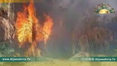 عميد بلدية زلة: نفتقر لسيارة إطفاء ونلجأ لقطع الأشجار لإيقاف الحرائق