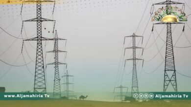 تنسيق لربط شبكة الكهرباء بالشرق مع الشبكة المصرية