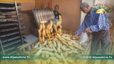 الصغير: بعض المواطنين يشترون الخبز بالآجل لظروفهم الصعبة بالمنطقة الجنوبية و3 أرغفة بدينار