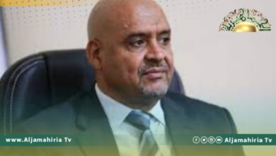 الصغير: عقيلة اتفق مع المشري على فتح المشاورات بخصوص السلطة التنفيذية في جنيف