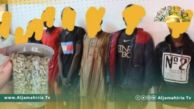 نشطاء: ضبط مجموعة من العمالة الوافدة تقوم بتقشير بذور عباد الشمس عبر أفواههم ووضعها بعلب لتسويقها