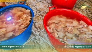 أمرت نيابة النظام العام بحبس المتهمين في قضية ضبط 1000 كيلو من الدجاج الفاسد في أماكن متفرقة، لسبعة أيام على ذمة التحقيق.