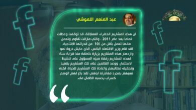 عبد المنعم اللموشي يكتب// مشروع مكنوسة العملاق الذي كنسته "الغربان"