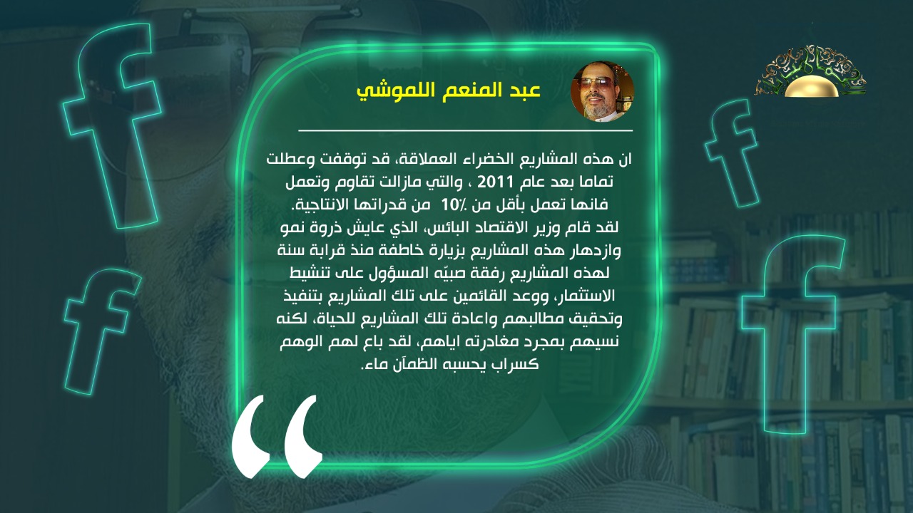 عبد المنعم اللموشي يكتب// مشروع مكنوسة العملاق الذي كنسته "الغربان"