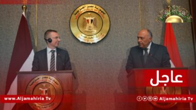 عاجل// وزير الخارجية المصري يشدد على أهمية تضافر الجهود الدولية لإخراج المرتزقة والقوات الأجنبية والمقاتلين الأجانب من ليبيا وتنفيذ الاستحقاقات الانتخابية