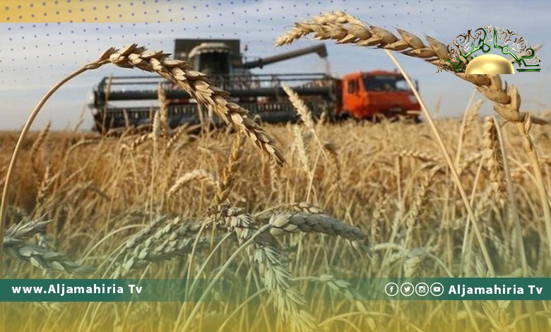 خبيرة اقتصادية: ليبيا تواجه معاناة من أعباء غذائية كثيرة