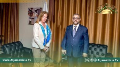 وليامز تكشف عن فحوى لقائها مع الإخواني خالد المشري..هذا ما جرت مناقشته