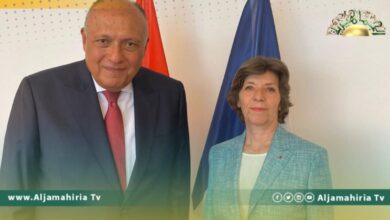 شكري يبحث مع نظيرته الفرنسية الأوضاع في ليبيا