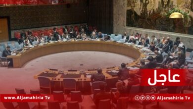 مجلس الأمن الدولي